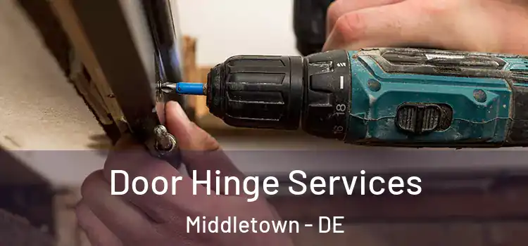  Door Hinge Services Middletown - DE