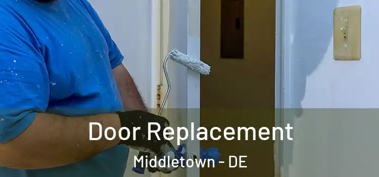  Door Replacement Middletown - DE
