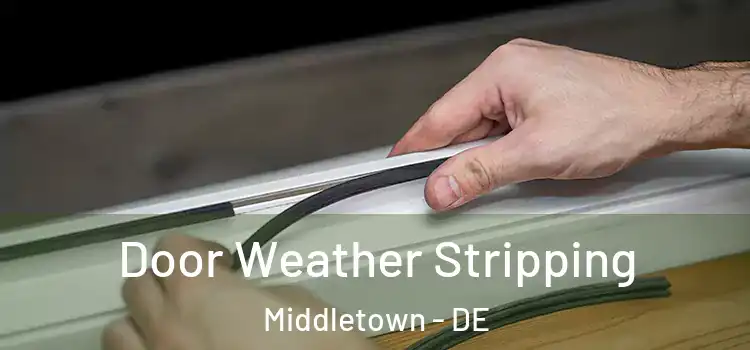  Door Weather Stripping Middletown - DE