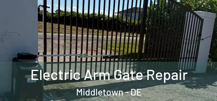  Electric Arm Gate Repair Middletown - DE
