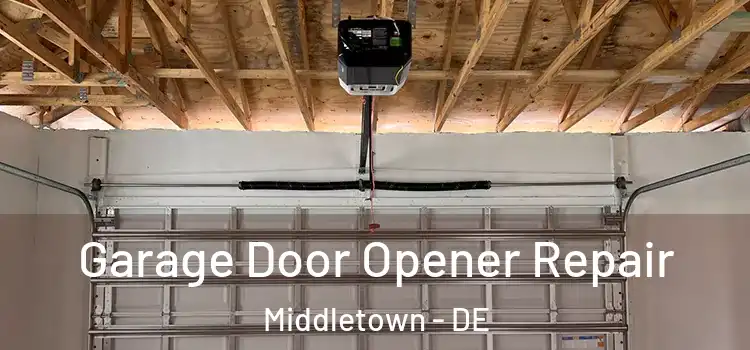  Garage Door Opener Repair Middletown - DE
