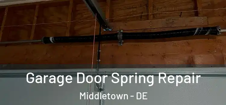  Garage Door Spring Repair Middletown - DE