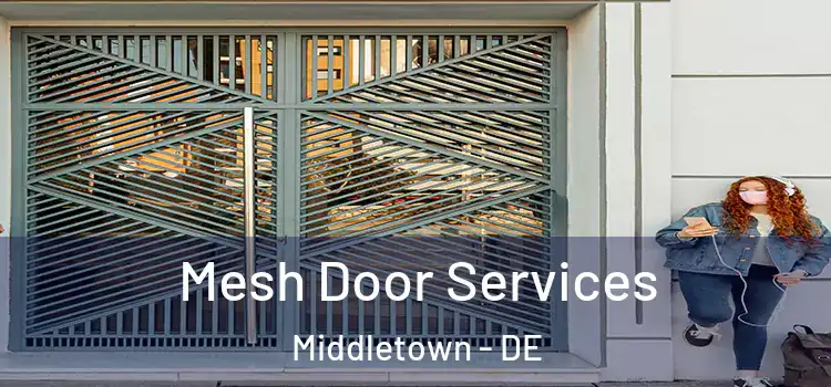  Mesh Door Services Middletown - DE